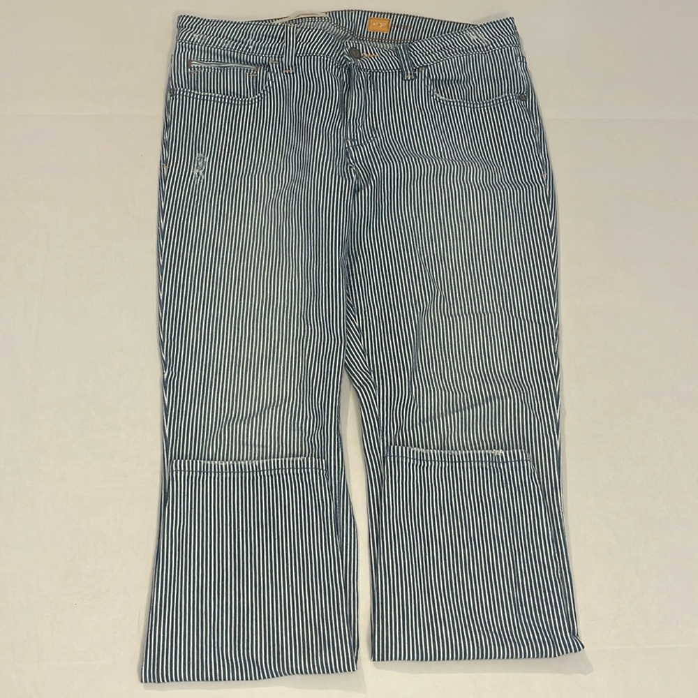 Pilcro and Letterpress Women’s Striped Jeans Size 30